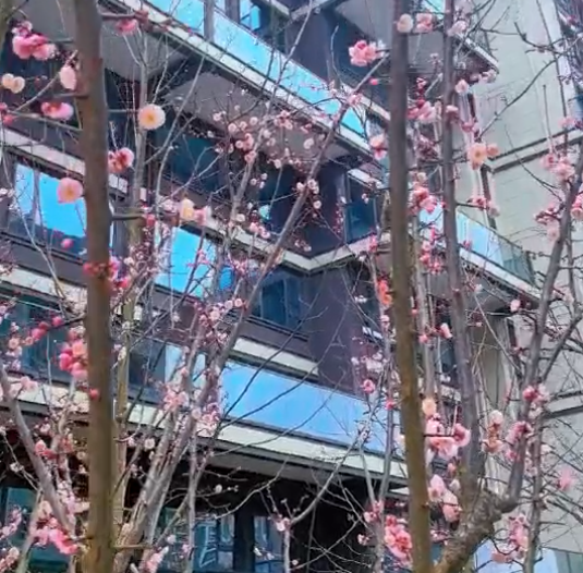 eps外墻線條的標(biāo)準(zhǔn)用材，你不要錯(cuò)過了！